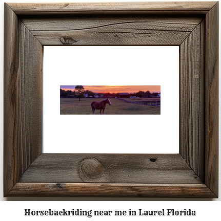 horseback riding near me in Laurel, Florida